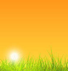 Image showing Summer Nature Background with Grass, Sunset