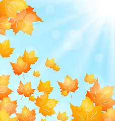 Image showing Autumn Background with Flying Maple