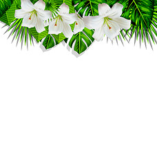 Image showing Frame branch tropical leaves and white flowers lily