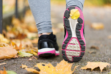 Image showing close up of woman feet wearing sneakers in autumn