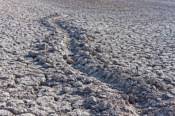 Image showing Furrow in dried soil