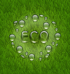 Image showing Eco friendly background with water drops on fresh green grass te