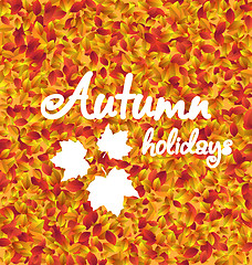 Image showing Autumn Holiday Background, Leaves Texture