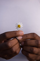 Image showing portrait of African American girl with a flower in her hand