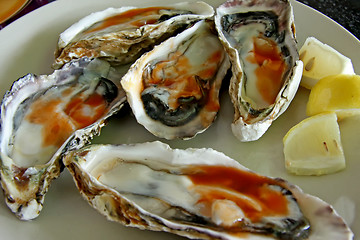 Image showing Raw oysters