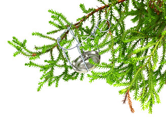 Image showing Branch of decorative home Christmas-tree with muselet from champ