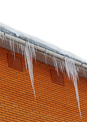 Image showing Snow-covered roof with icicles on white background