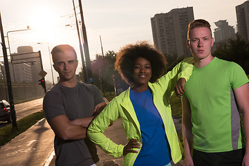 Image showing portrait multiethnic group of people on the jogging