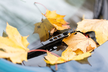 Image showing close up of car wiper with autumn leaves