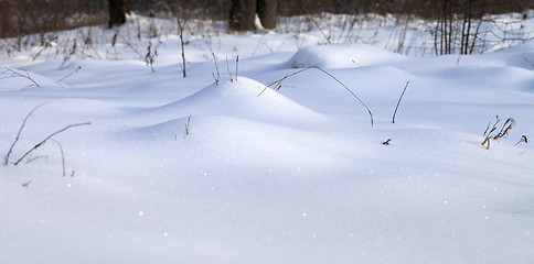 Image showing Snowdrift in winter forest