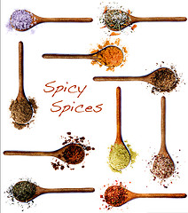 Image showing Collection of Spices with Inscription