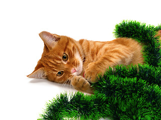 Image showing Red-headed kitten lying on its side and play with Christmas deco