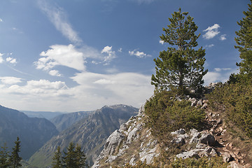 Image showing Canyon of river Tara, Montenegro