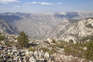 Image showing Canyon of river Tara, Montenegro