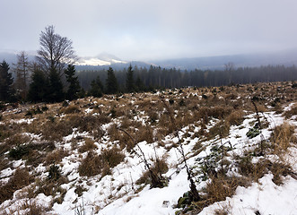 Image showing Winter landscape