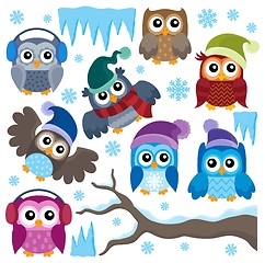 Image showing Winter owls thematic set 1