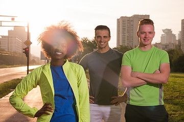 Image showing portrait multiethnic group of people on the jogging