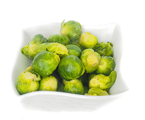 Image showing White designer bowl with fresh green brussels sprout isolated on