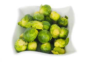 Image showing White designer bowl with fresh green brussels sprout isolated on