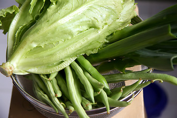 Image showing Fresh lettuce