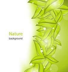 Image showing Summer Card with Eco Green Leaves