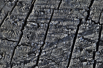 Image showing Burnt wood texture