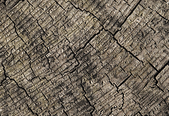 Image showing Abstract cracked wood  