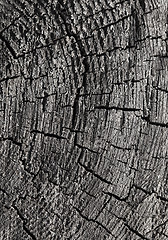 Image showing Abstract cracked wood  