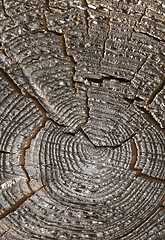 Image showing Abstract cracked wood  