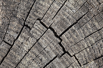 Image showing Abstract cracked wood  