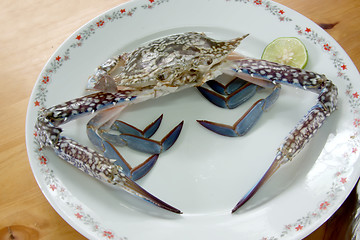 Image showing Fresh crab