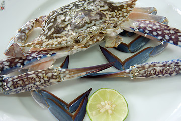 Image showing Fresh crab