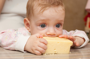 Image showing Baby liked a piece of tasty cheese