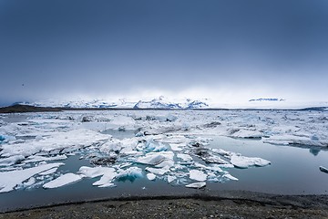 Image showing Icebergs at glacier lagoon 