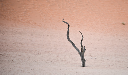 Image showing Sossusvlei, Namibia