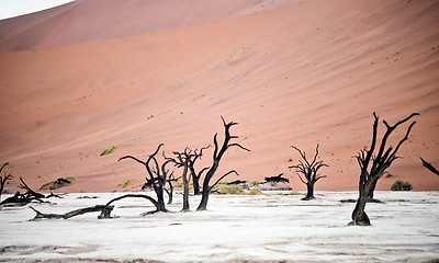 Image showing Sossusvlei, Namibia