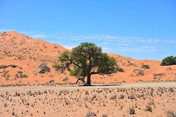 Image showing landscape in Namibia