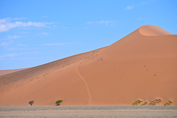 Image showing sand dune