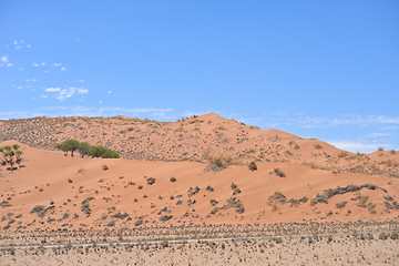 Image showing landscape in Namibia