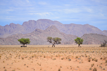 Image showing namibian landscape
