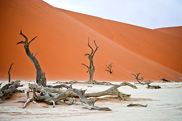 Image showing Sossusvlei, Namibia