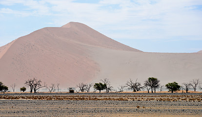 Image showing sand dune