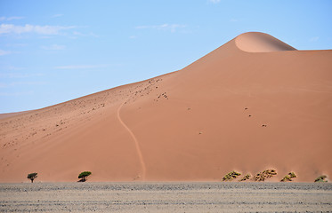 Image showing sand dune