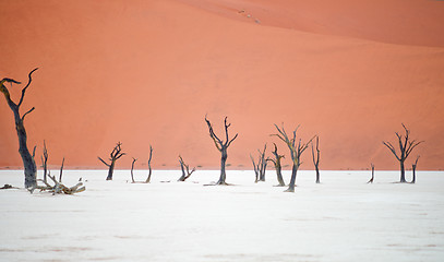 Image showing Sossusvlei, Namibia