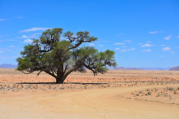 Image showing namibian landscape