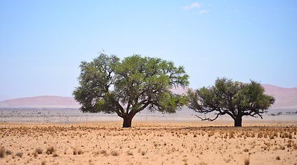 Image showing namibian landscape