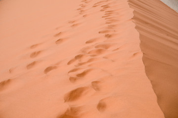 Image showing sand dune