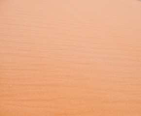 Image showing sand dune