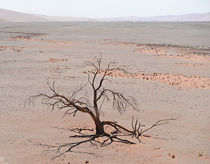 Image showing desert landscape