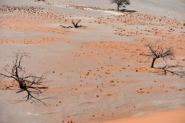 Image showing desert landscape